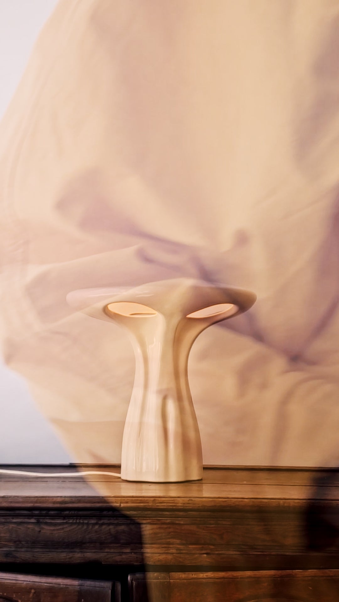 Designer luminaire