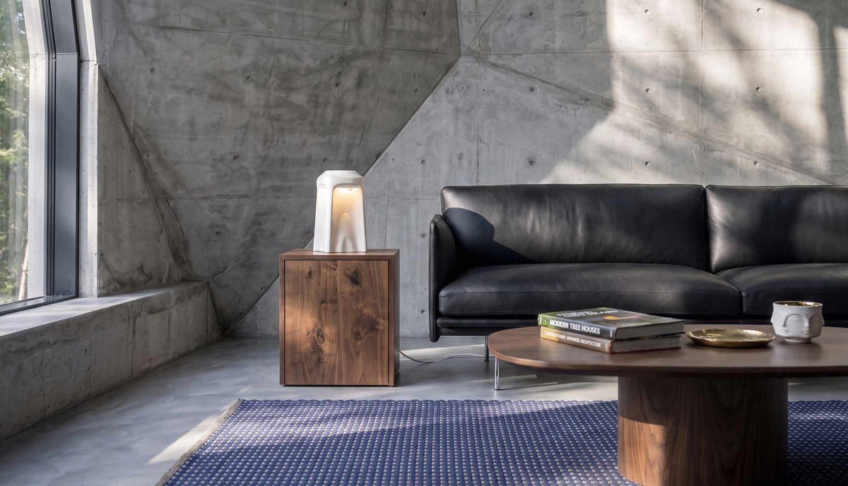 Contemporary living room