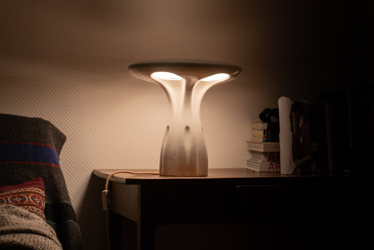 La lampe in situ